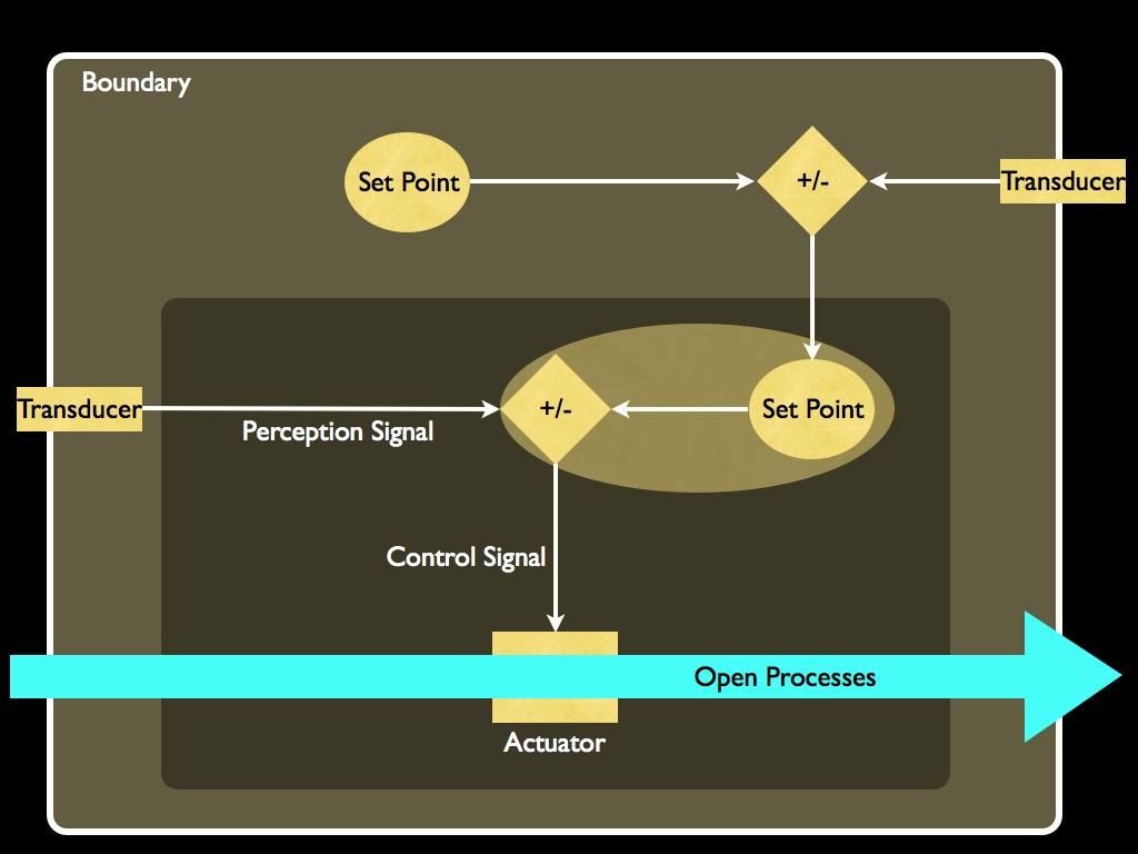 2-layer homeostasis