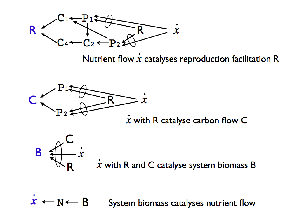 ecological dependencies