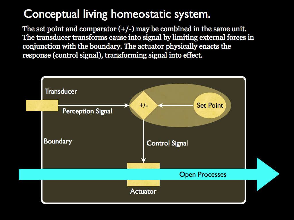 homeostasis